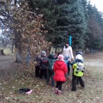 IMG_20141107_124654